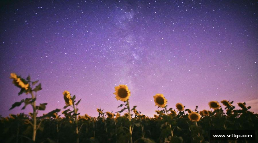 美高梅·(MGM)官方网站突破自我，成就非凡！